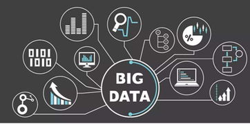 嵐府品牌深度解析 實體門店生存現狀分析與技術驅動下的破局之道